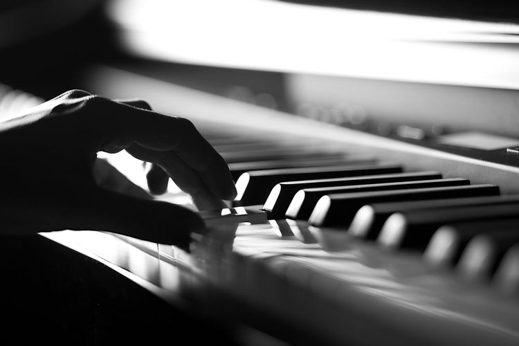 Donner Digital Pianos - Rhythmic-Cadence