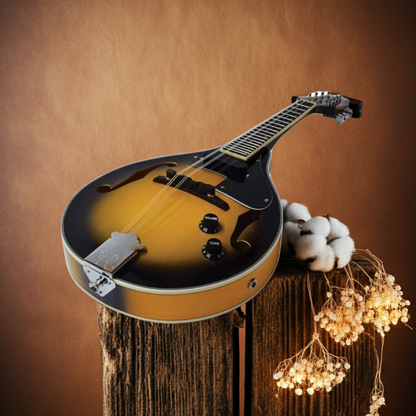 Electric Mandolin Tobacco Sunburst