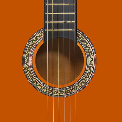 vidaXL 12 Piece Classical Guitar Beginner Set 4/4 39 (8 - 10 day delivery) - Rhythmic - Cadence