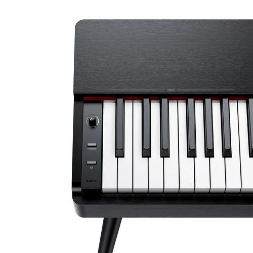 Donner OURA S100 88 - Key Graded Hammer Weighted Digital Piano - Rhythmic - Cadence