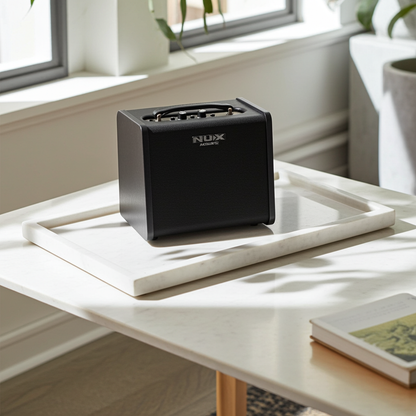 Stageman II AC-60 Acoustic Amplifier